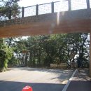 산주농장 | 20190706금정산주릉.속살.고당봉.금성동산행