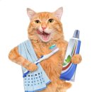 애니펫 동물병원 이미지