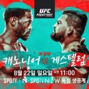 (주)고릴라코리아 이미지