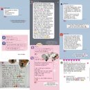 멍즈니랜드 이미지