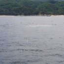 망양펜션 이미지