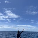 어드 | 보홀 스쿠버다이빙 디퍼다이브에서 오픈+어드 5박 5일 취득 후기