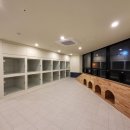 명랑유치원 이미지