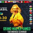 그린나래 태권도 시범단 이미지