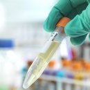 신호등약국 이미지