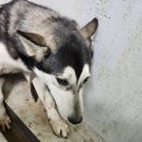 현산면 주민자치센터 이미지