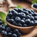 청광농장 이미지