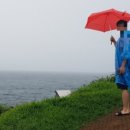 링링(LING LING) 이미지
