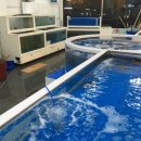 해동수산회센터 이미지