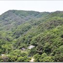 파라호 이미지