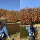 머리끄댕이 | 머리 히피펌 후기ㅣ펌 안나오는 생머리 히피펌...머리 히피펌 미용실 추천ㅣ사당끄댕이내돈내산