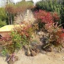 논실농원 이미지