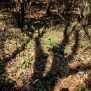 산성공원(좁은목약수터) | 61/100 Playing with 해남 두륜산