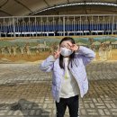 결성농요농사박물관 | 충남 홍성 결성농요농사박물관 , 홍주성역사관