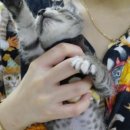 토곡동물병원 이미지