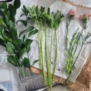 장미꽃핀집 | 꾸까 꽃구독 농부의꽃 S사이즈, 6개월(12회) 정기구독 내돈내산 후기