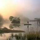 황포돗대 이미지