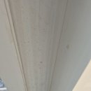 뉴서울아파트 | 인천 남동구 만수동 뉴서울아파트 투룸 입주청소 후기｜리모델링 후 도배풀 제거까지 깔끔하게 완료