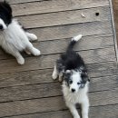 폼스하우스 이미지