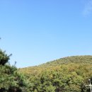 곤지암한솔유치원 이미지