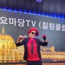 힐링노래클럽 이미지