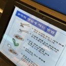 슈퍼막회 이미지