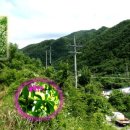 영월동로 이미지