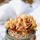 상학농장 이미지