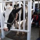 진주목장 이미지