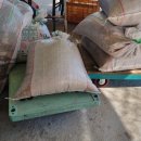 순애농장 이미지