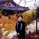 불교전시관 - 창원시 마산회원구 삼호로 36 | 불교전시관