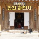 해인사 | 합천 해인사 팔만대장경 관광 및 반값 여행 후기