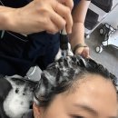 케어하우스 | 광교두피관리 더케어하우스 상현역점 방문 솔직후기