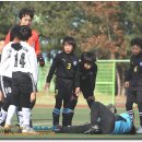 고양백석초등학교 이미지