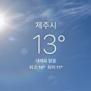 포토박 | 제주감귤국제마라톤 대회 10km 4위 그리고 pb달성 !