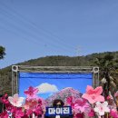 여수 영취산 진달래축제 답사 다녀왔어요💙💙💙 이미지