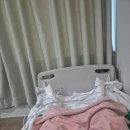 서울여성병원 | 대전 서울여성병원 제왕절개 수술후기 - 역아, 단태아 분만