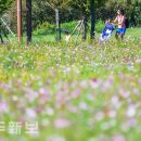 시민복지타운광장 이미지