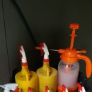 광손세차장 이미지