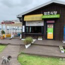 함초식당 소금항카페 이미지