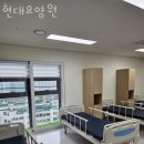 현대코아사거리 현대코아방향 네이버블로그