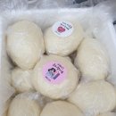 찐빵의정석