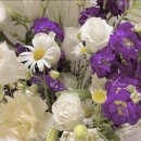 (주)유비디스포츠플로우 | [부평구청/린도플로] 프로포즈 알씨카부터 미니꽃다발까지 개만족 존예인 부평구청 꽃집 (내돈내산)