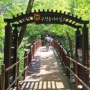 초례산 숲속 힐링로드 | 무주 구천동어사길 / 천혜의 자연경관을 자랑하는 구천동계곡숲길 / 힐링로드100선(No.75)