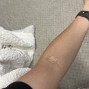 나 그대 사랑... | 나 그대를 사랑하는 까닭은