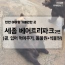 천안 아산 아기랑 가볼만한 곳, 세종 베어트리파크 2탄(곰 잉어 먹이주기 체험/ 식물원 전망대 숲놀이터)