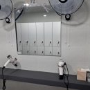 슈가복싱 이미지