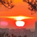 생명생교회 맞은편 교통섬 | #한강 작가 6