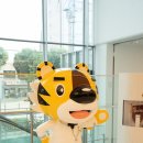 마음 컴퍼니