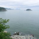 몰운대꼼장어 이미지